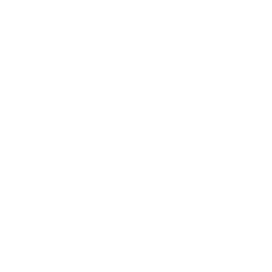 DHM Terex Logo